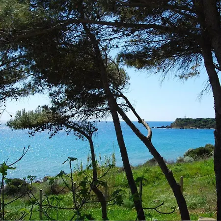 Daire In Isola Di 20986