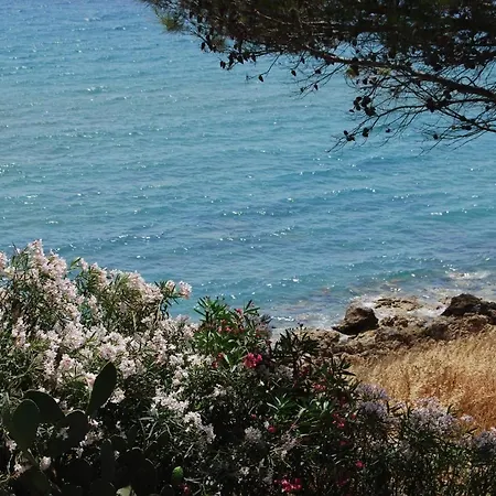 Daire In Isola Di 20986 *