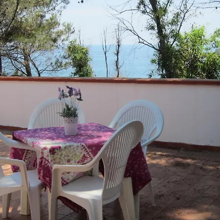 In Isola Di 20986 *
