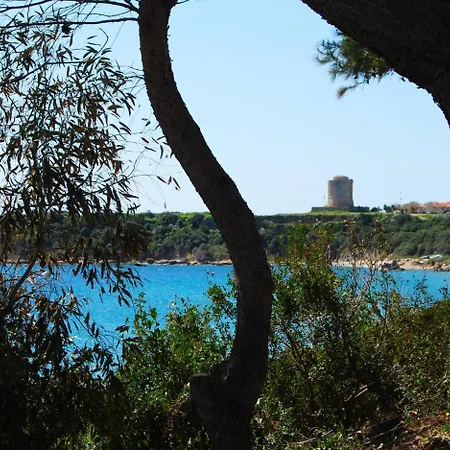 Daire In Isola Di 20986 *